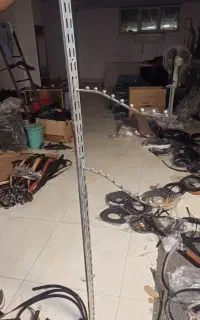 رگال پانچی و شاخک تیله ای