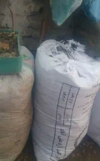 کود گوسفندی