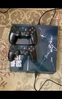 PS4 fat