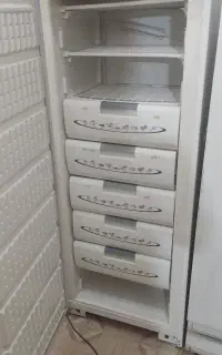 یخچال و فریزر