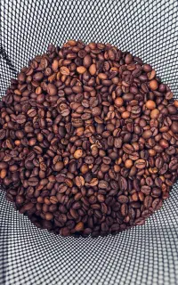 قهوه گرام