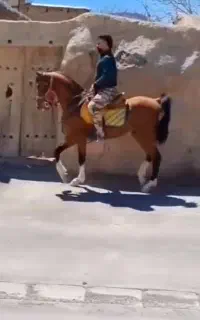 نریان دره شور