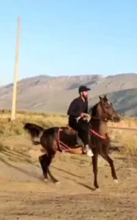مادیون