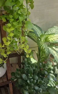 ط همکف  از ۲  یک طبقه