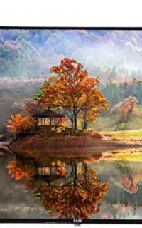 ال ای دی 43اینچ سام