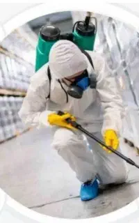 سمپاشی24ساعته سم پاشی ضمانتی ریشه کنی حشرات منازل