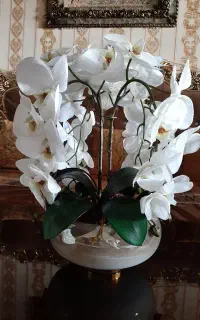 گل و گلدان ارکیده لمسی