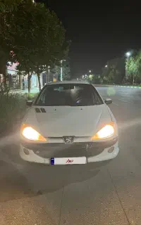 ۲۰۶ مدل ۸۱