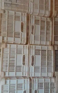 فروش جعبه گوجه درحد نو