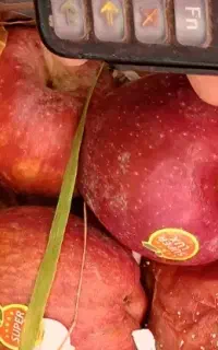 سرمایه لازم دارم توضیحات رو بخون