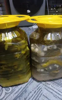 خیارشورخوشمزه