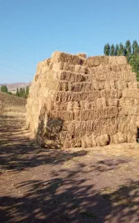 علوفه یونجه خالص . بسته بندی