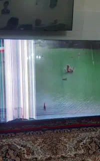 تلوزیون ۶۵ ال‌سی‌دی شکسته فرمهین