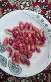 خرید پسته