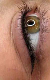 خدمات زیبایی با بهترین مواد و کمترین هزینه