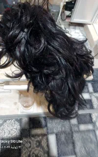 ورق بزن نگاه کن کلاه گیس هاحراج