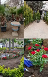 خدمات باغبانی کوددهی گلکاری هرس‌کاری باغچه کاری