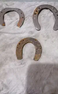 فروش نعل و زنگوله
