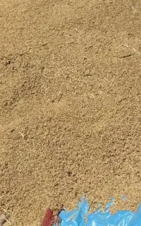 جو محلی پر عالی