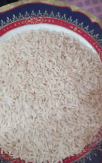فروش برنج