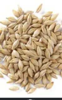جو پوسکن درجه یک واسه تخم