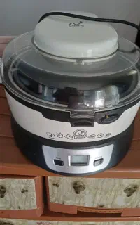 سرخکن رژیمی