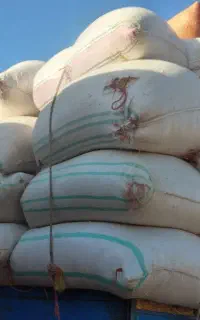 خریدوفروش کاه