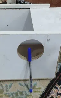 لونه عروس پاریس