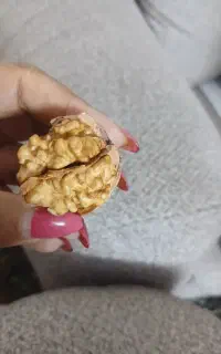 فروش گردو
