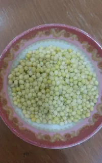 خاویار حلزون
