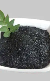 هیومیک اسید پرک چینی ۷۰ درصد