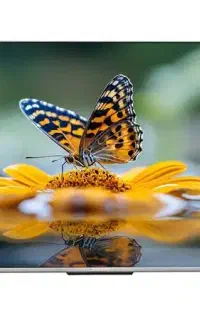 تلویزیون دوو ۶۵ اینچ (زیر قیمت بازار)
