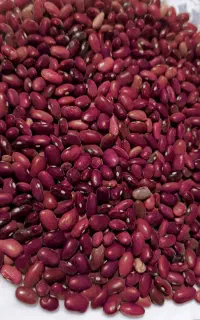لوبیا قرمز