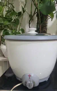 پلو پز اتوماتیک پارس خزر12نفره