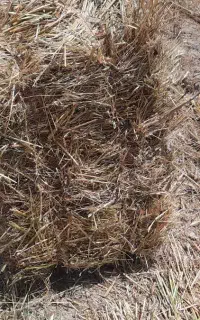 علف پرس شده بسیارخوب