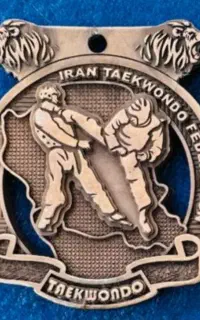آموزش تکواندو استاد حسینیان