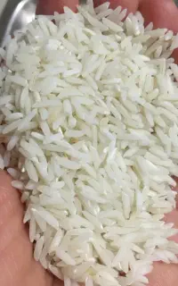 برنج هاشمی 1405