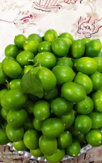 فروش لیمو شیشه