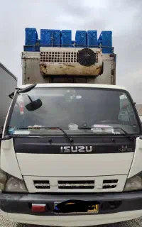 ایسوزو کله خرگوشی