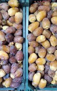به یک فروشنده آقا ساده در مغازه نیازمندیم