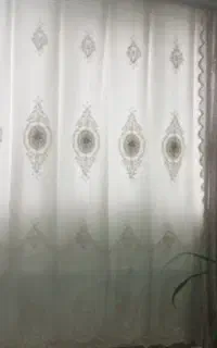 کنار پرده