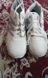 ...بوبانک