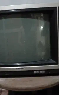 تلویزیون