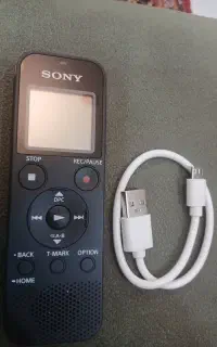 ضبط صوتی خبر نگاری