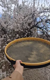 آموزش موسیقی دف دایره تنبک