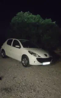 207 خشک پانا رینگ اسپرت معاوضه با دنا