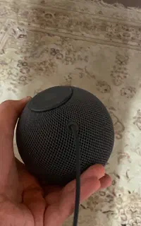 هوم پاد مینی اسپیکر اپل