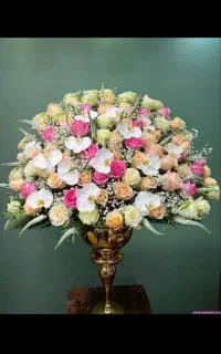 گیاه آپارتمانی و باکس و دسته گل
