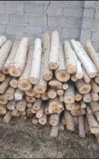 خرید چوب عمده