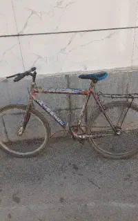 دوچرخه